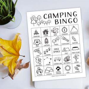Freebie camping bingo printable on Kenarry.com