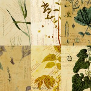 Download freebie vintage styled patterned papers from tortagialla.com