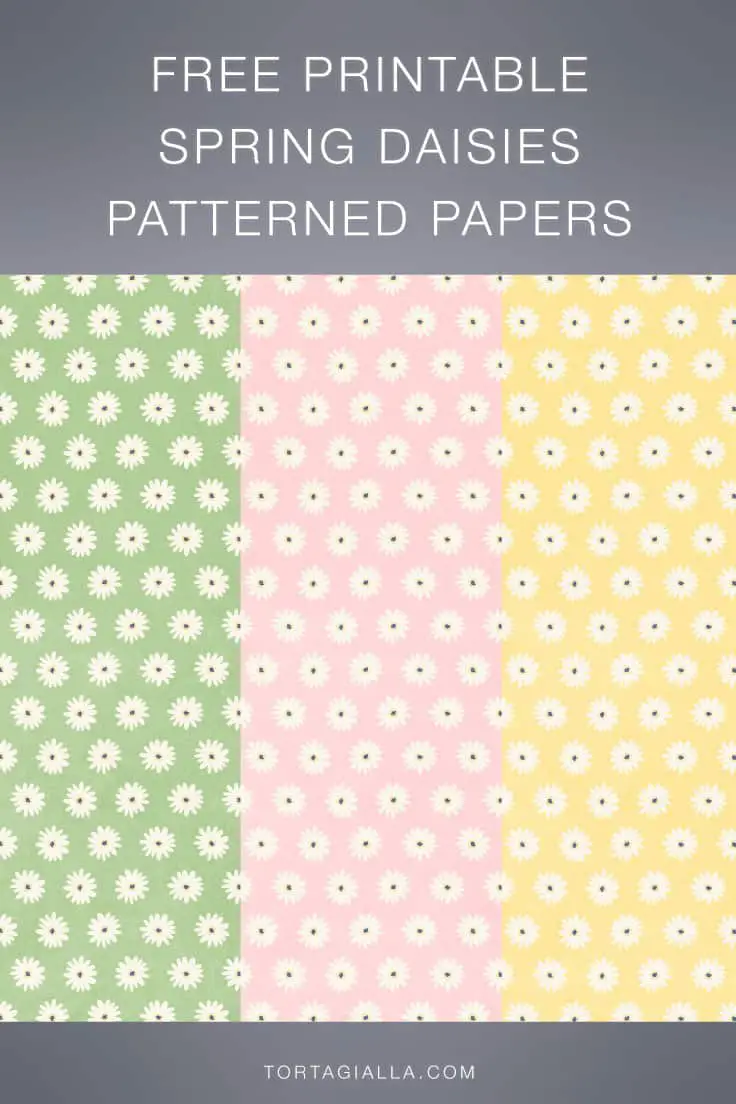 Check out the free printable papers on tortagialla.com